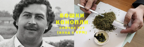 spice Балахна