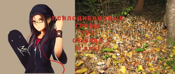 прущая мука Армянск