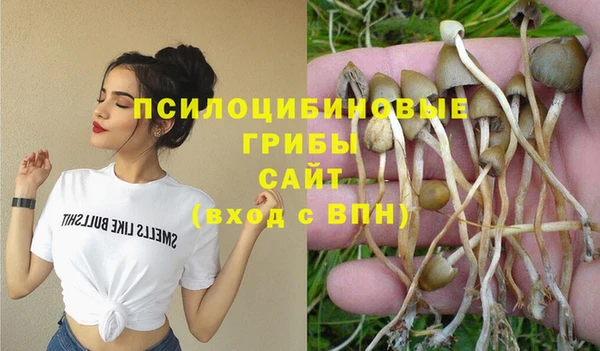прущая мука Армянск