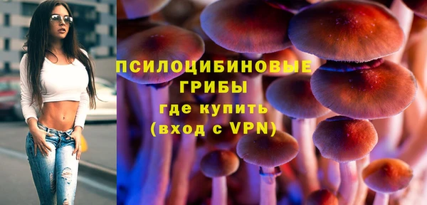 прущие грибы Балабаново